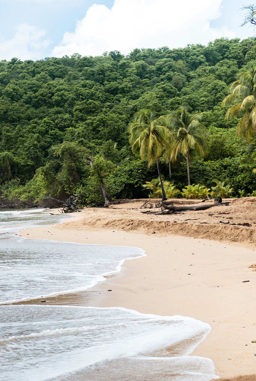 Guadeloupe